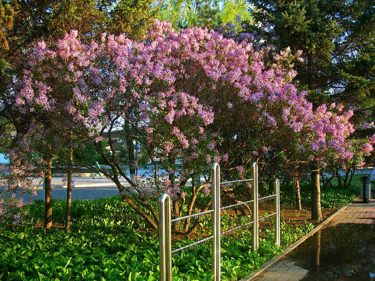 DSCN6461-3.jpg