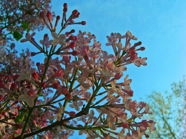 DSCN6478-3.jpg