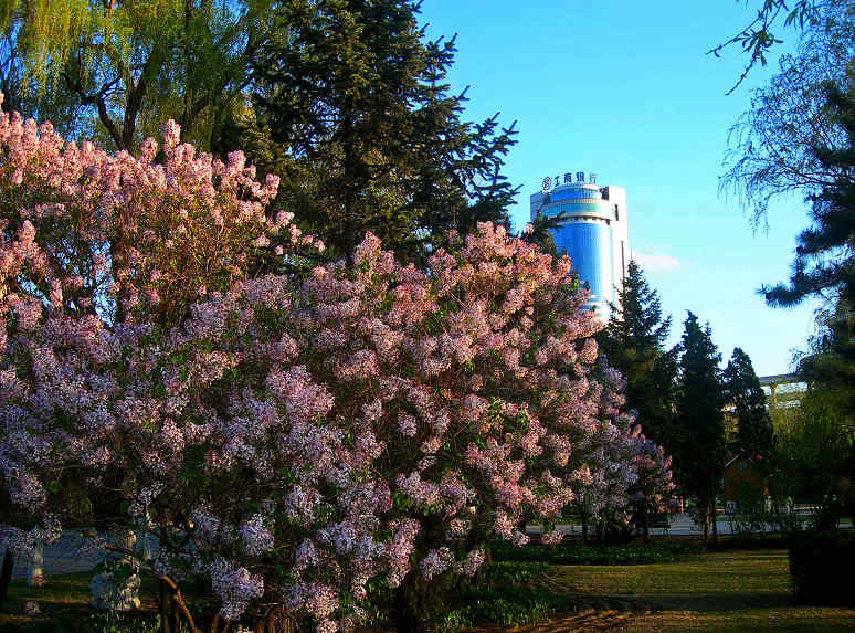 DSCN6493-3.jpg