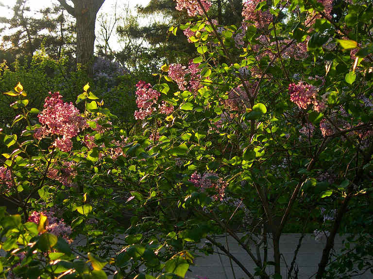 DSCN6499-3.jpg