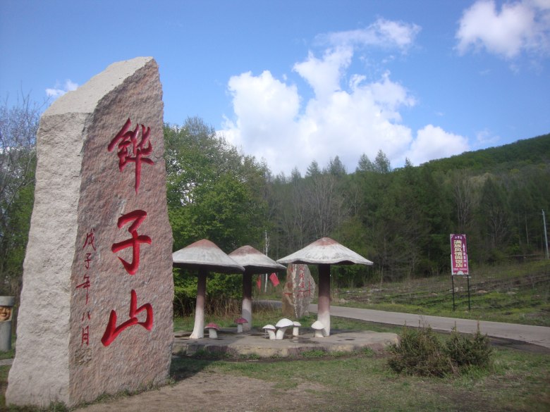 DSC09612_conew1.jpg