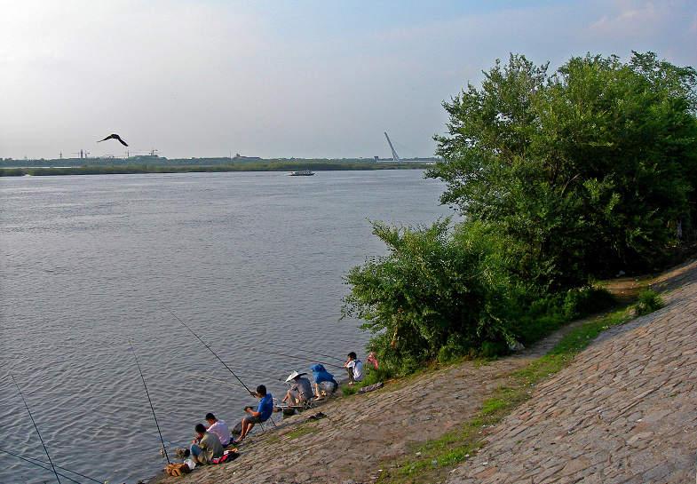 DSCN9473-3.jpg