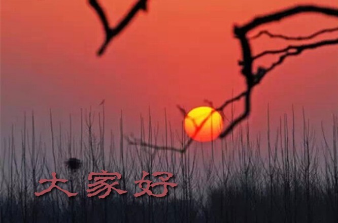 QQͼƬ20150116122857.jpg