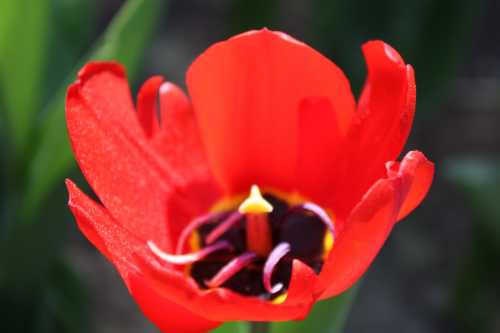 IMG_1293_conew1.jpg