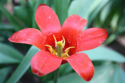 IMG_1341_conew1.jpg