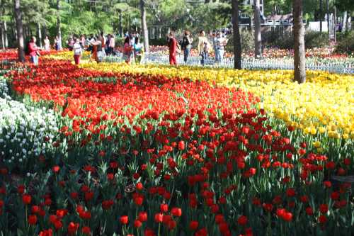 IMG_3011_conew1.jpg