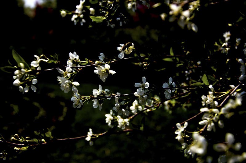DSC_2669_ͼ_С.jpg