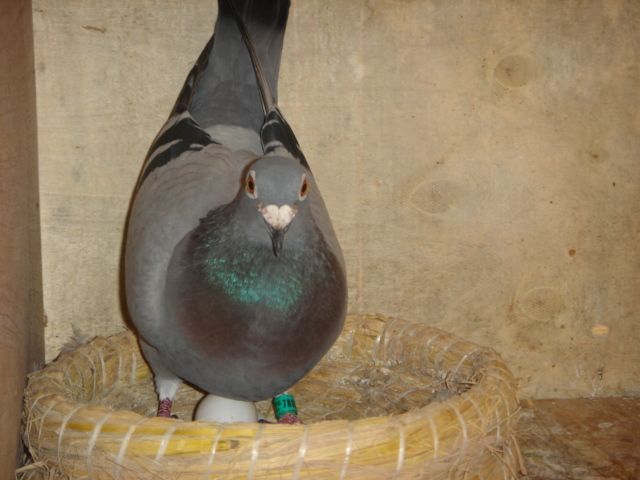 200776141728.jpg