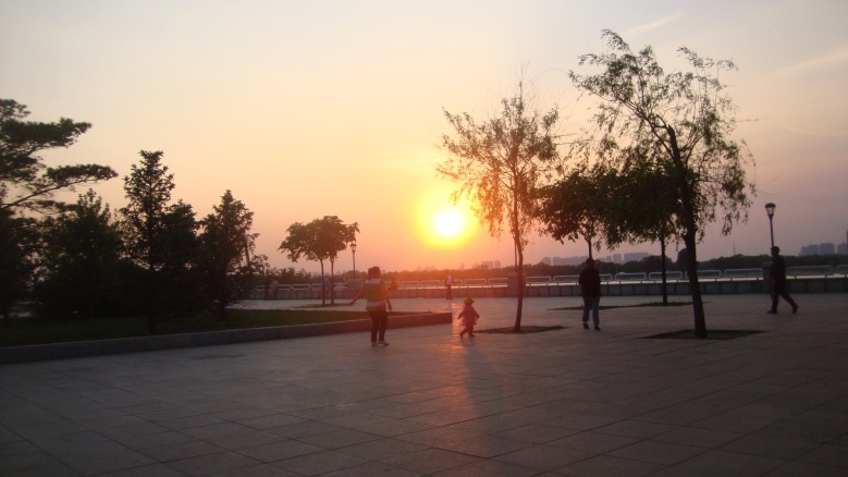 DSC09990_conew1.jpg