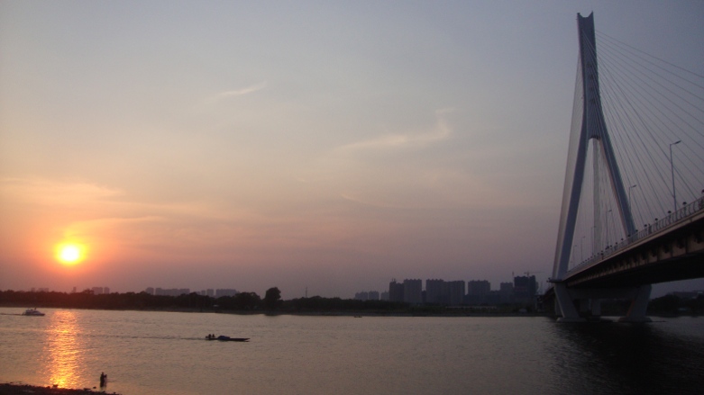 DSC09994_conew1.jpg