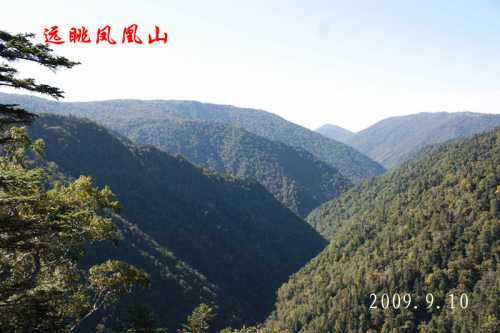 IMG_0523__conew1.jpg