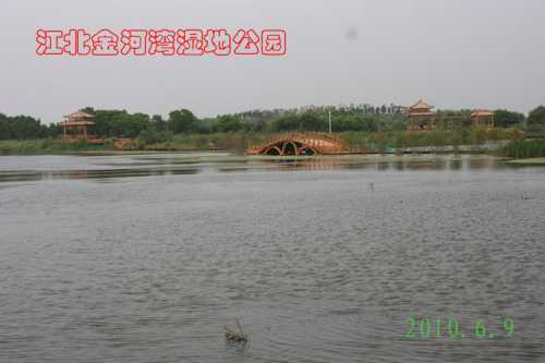 IMG_0613__conew1.jpg