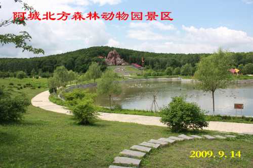 IMG_0691__conew1.jpg