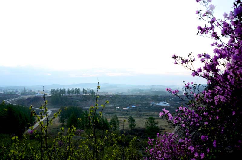 DSC_1920_ͼ_С.jpg