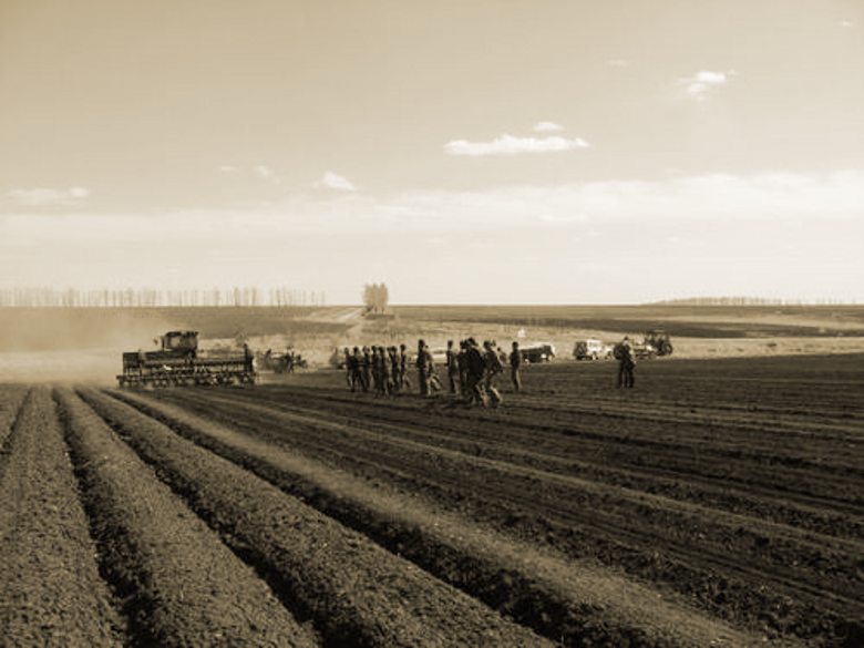 20095716912550_conew1.jpg