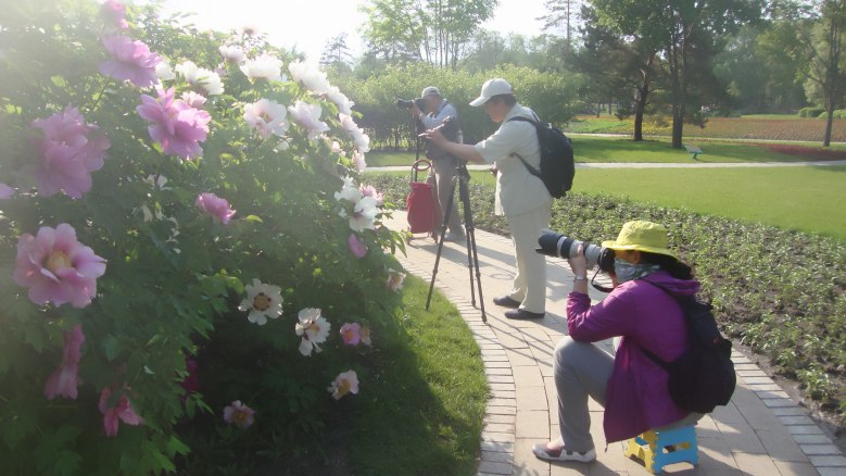 DSC00156_conew1.jpg