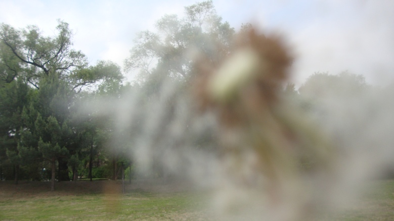 DSC00204_conew1.jpg