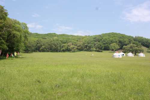 IMG_2419_conew1.jpg