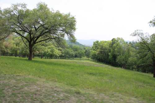 IMG_2466_conew1.jpg