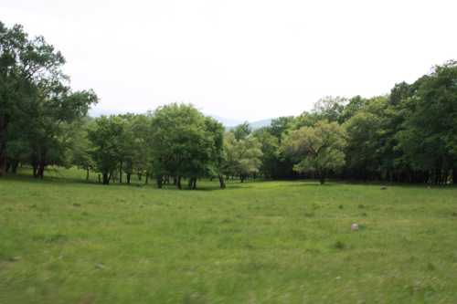 IMG_2467_conew1.jpg