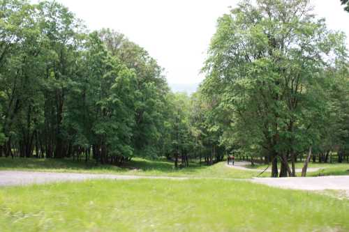IMG_2475_conew1.jpg