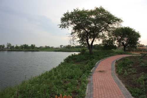 IMG_2627_conew1.jpg