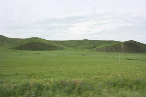 IMG_4467_conew1.jpg