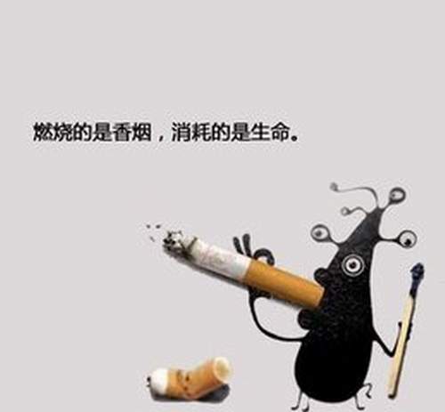 t01985d5faf581b1fb5.jpg