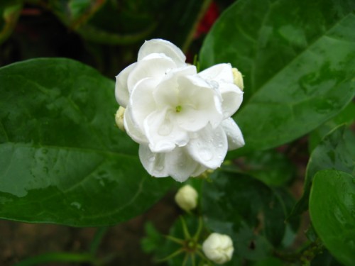 20107812134730453_conew1.jpg