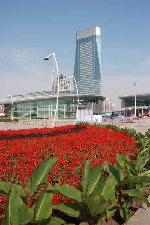 IMG_5246_conew1.jpg