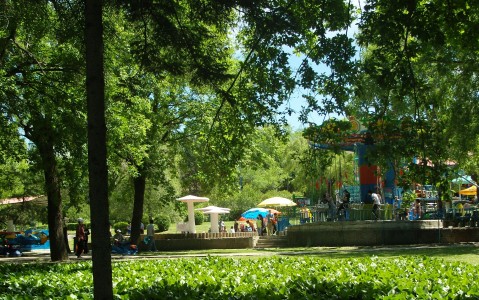 SNV10102_conew2.jpg