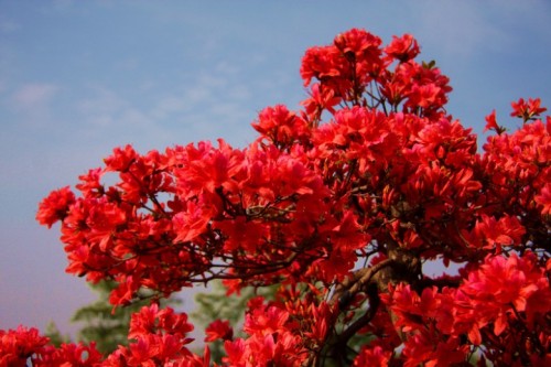 20110428153824887_conew2.jpg