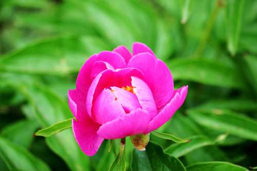 IMG_0178_conew1.jpg