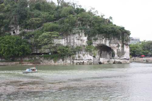 IMG_9050_conew1.jpg