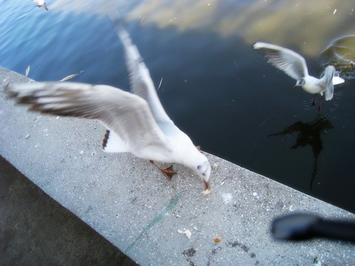 001226o01vorkf68jp68ko.jpg