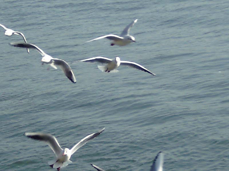 20065231226211061.jpg
