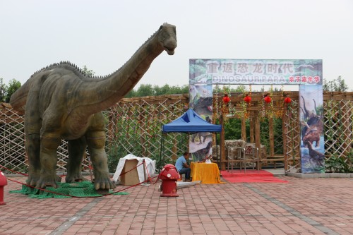 IMG_0503_conew1.jpg