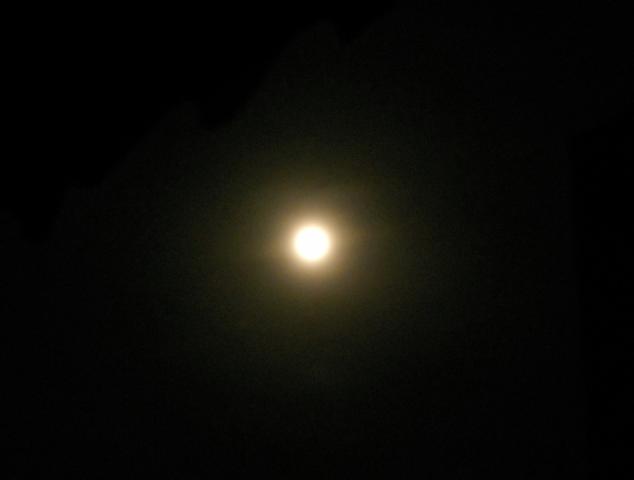 853c1fc0f553fa6582b42067a833026b_middle.jpg