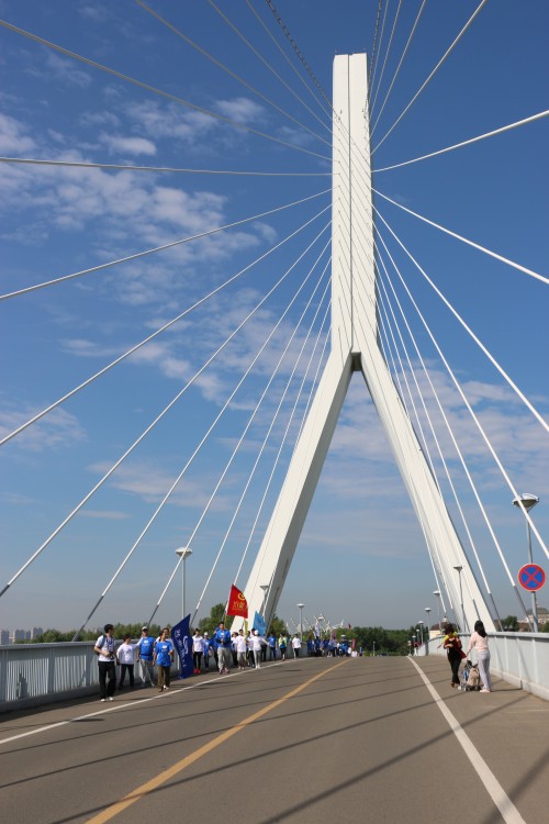 IMG_0690_conew1.jpg