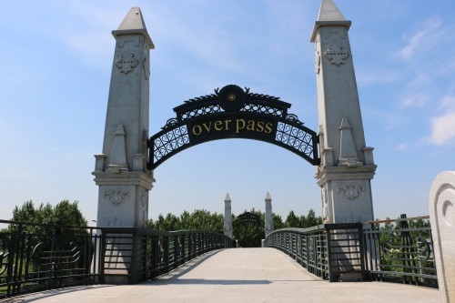 IMG_0742_conew1.jpg