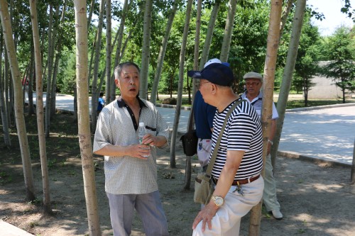IMG_0863_conew1.jpg