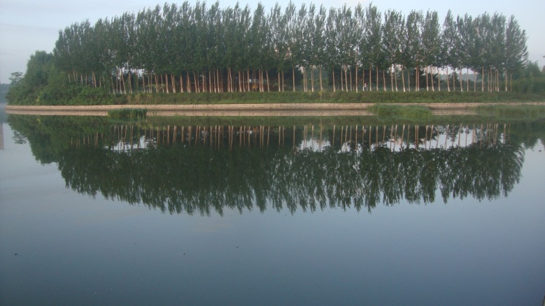DSC00644_conew1.jpg