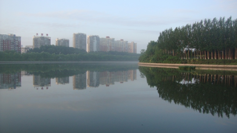 DSC00645_conew1.jpg