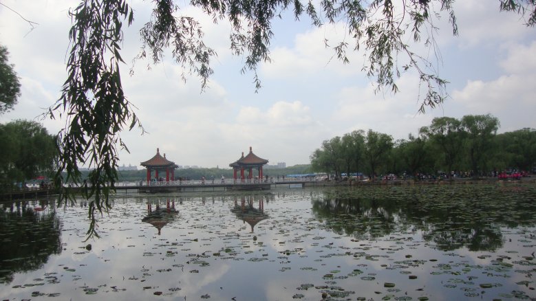 DSC00723_conew1.jpg