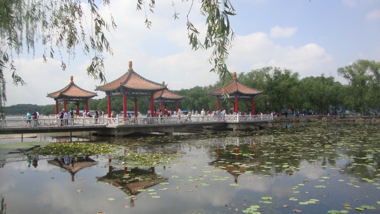 DSC00727_conew1.jpg