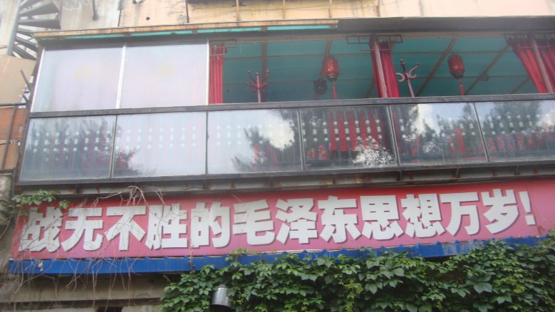 DSC00840_conew1.jpg
