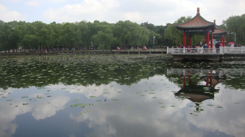 DSC00750_conew1.jpg