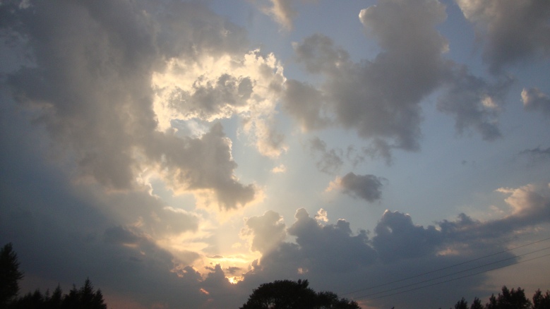 DSC01539_conew1.jpg