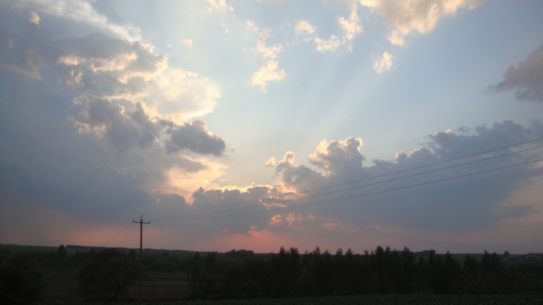 DSC01541_conew1.jpg