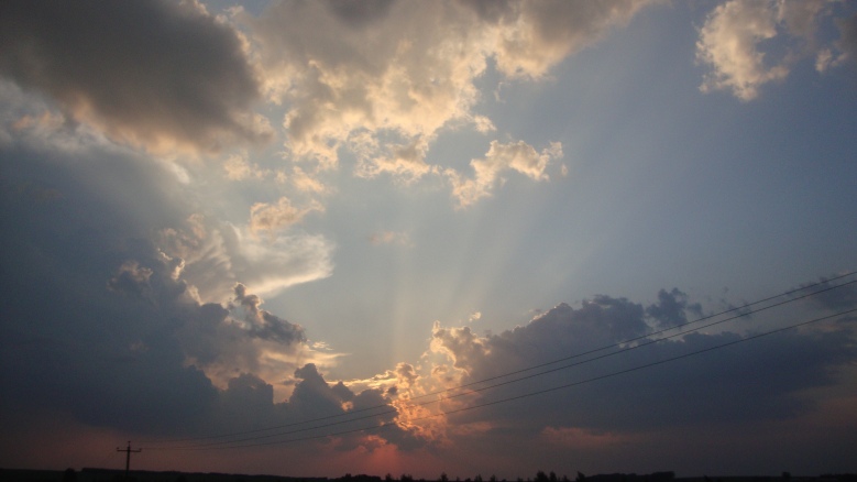 DSC01553_conew1.jpg